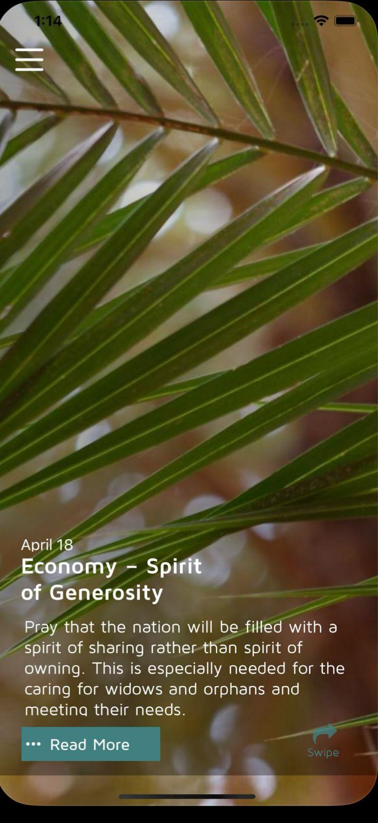 Spring in the dessert app screen from the supplied portfolio